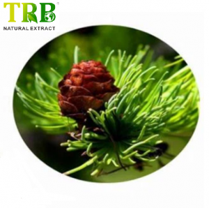 Larch Extract Dihydroquercetin