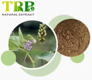 Psoralea Corylifolia Extract