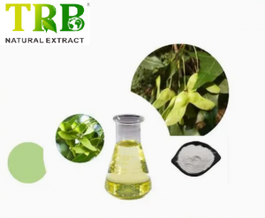 Acer Truncatum Extract